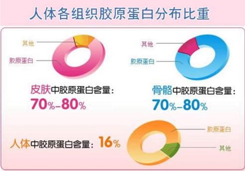 怎樣選擇膠原蛋白？給你4條黃金法則