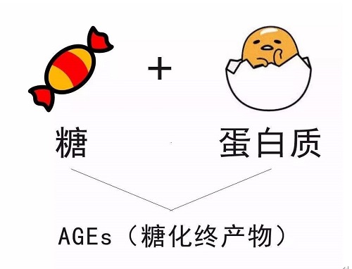 糖化反應(yīng)對皮膚的傷害 膠原蛋白流失的原因