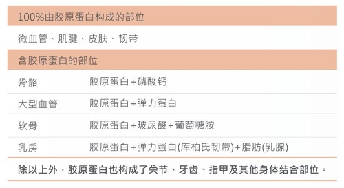 怎樣選擇膠原蛋白？記住這7條秒變行家