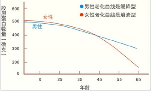 口服膠原蛋白有用嗎？怎樣補(bǔ)充膠原蛋白？