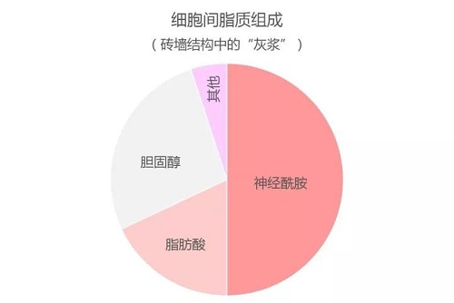 網(wǎng)紅成分神經(jīng)酰胺對(duì)皮膚的作用 一次講清楚