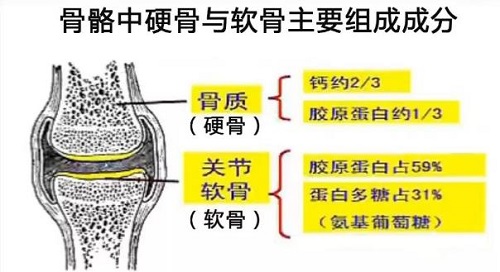 膠原蛋白的功效與作用 這幾點(diǎn)你未必知道