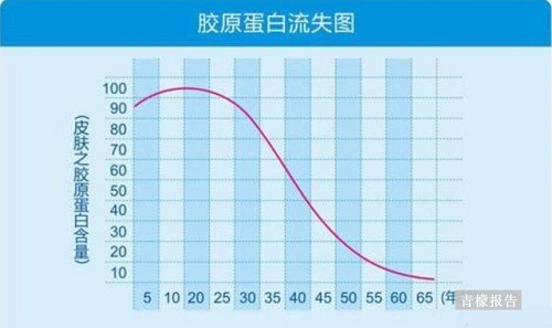 膠原蛋白有沒有用 怎樣補(bǔ)充 你想知道的都在這兒