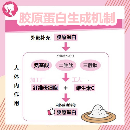 膠原蛋白怎么吃最有效？挑選標準與最佳補充時機