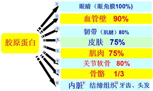 身體不同部位補膠原蛋白 吃哪些食物有用