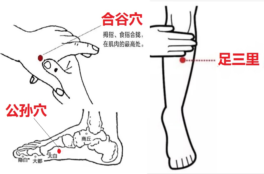 改善腸道健康 怎么吃怎么動(dòng)怎么睡 醫(yī)師的15條建議