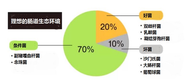 怎么判斷自己腸道是否健康 如何改善腸道環(huán)境增強免疫力