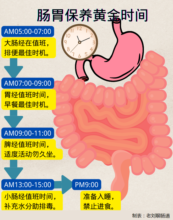 把握一天中這些“黃金時(shí)段”  腸道調(diào)理事半功倍