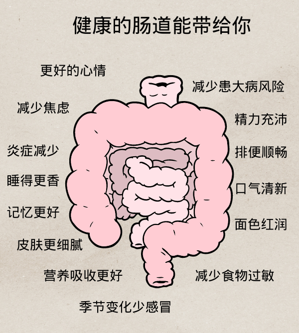 腸道不健康的表現(xiàn) 讀懂這些警報或能躲過一場大病