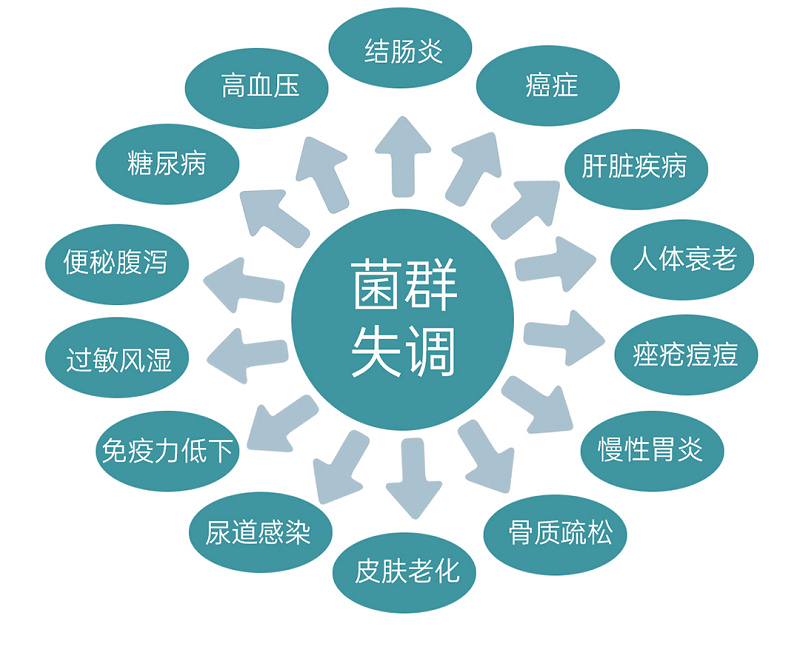 免疫大咖秘密基地竟在腸道！調(diào)節(jié)免疫力的益生菌有哪些