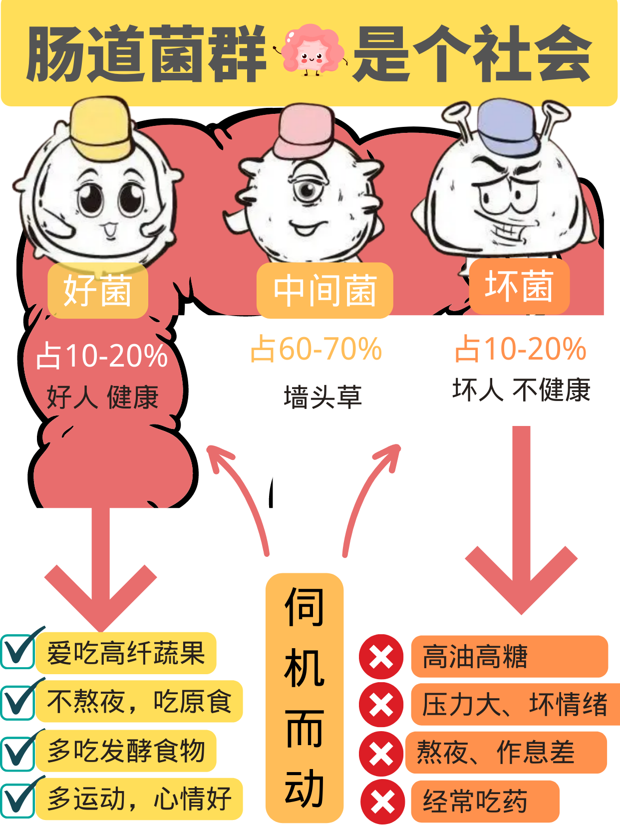 腸道怎么調(diào)理更健康？4個(gè)方法養(yǎng)出腸道好菌