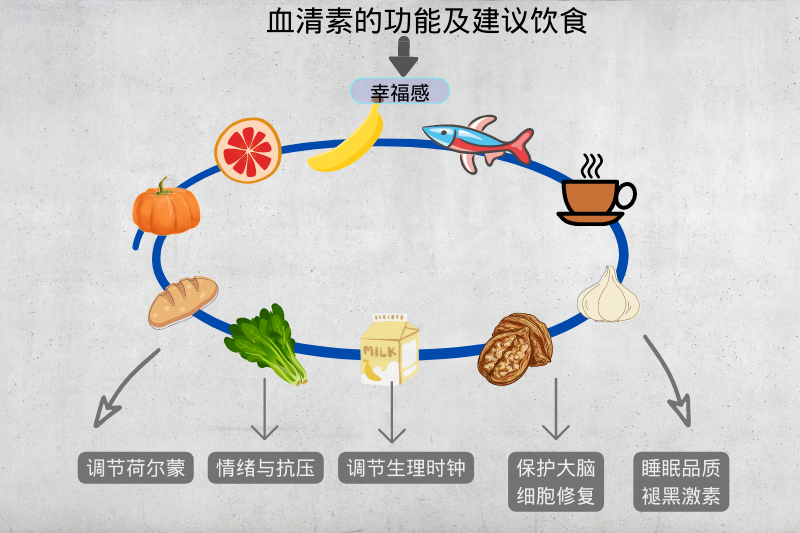 幸福荷爾蒙血清素生產(chǎn)基地竟在腸道！ 怎樣產(chǎn)生更多？