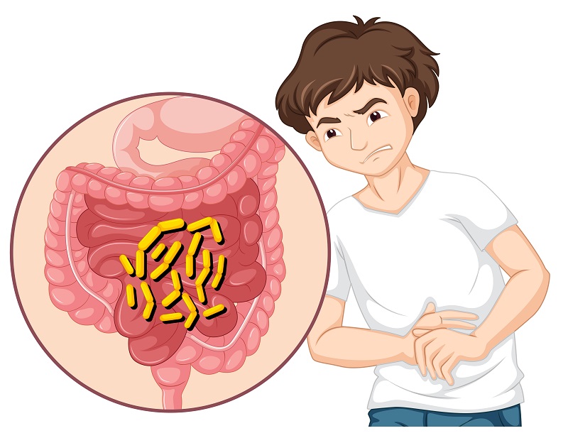  腸道怎么調(diào)理更健康？日本博士教你這樣做