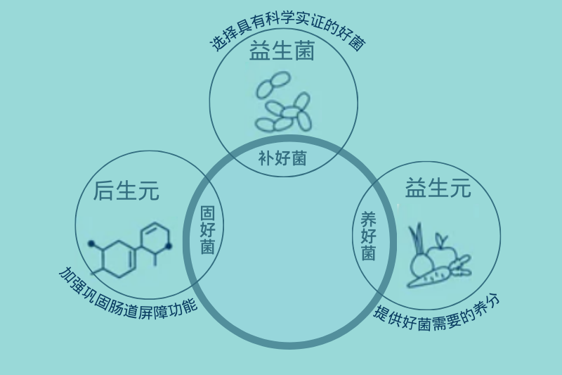 什么是后生元？它對(duì)人體健康有哪些好處