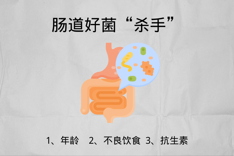 腸道好菌為什么會(huì)減少，哪些人更需要補(bǔ)充益生菌？