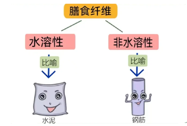 一次弄明白水溶性膳食纖維和非水溶性膳食纖維