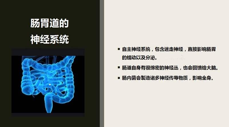 為什么說“腸子是我們的第二大腦”？