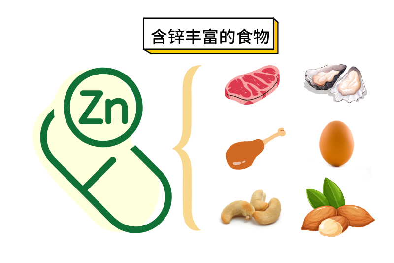 鋅對腸道健康的作用？補(bǔ)鋅可以保護(hù)腸道嗎